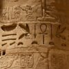 The Language of the Pharaohs